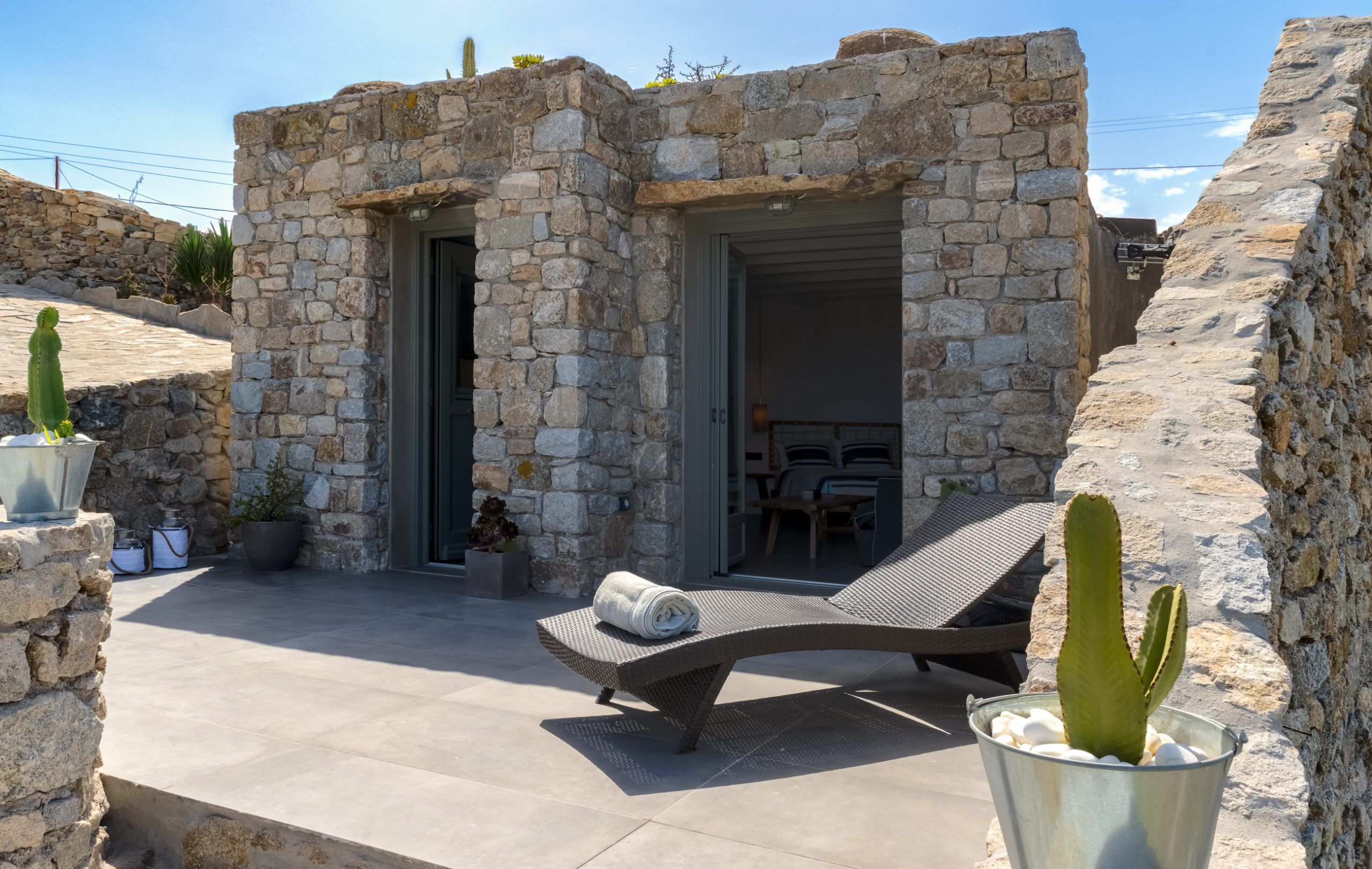 Aeonium Villa