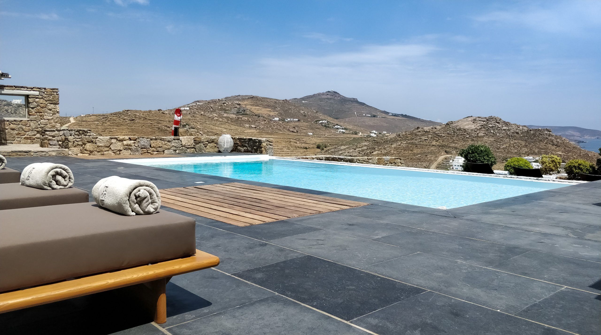 Aeonium Villa
